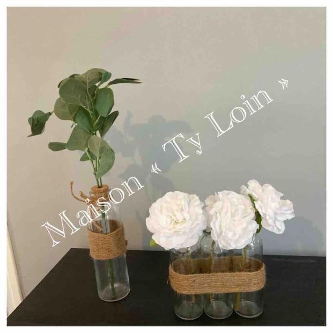 Villa Ty Loin Vue Mer 8 Personnes Logonna-Daoulas エクステリア 写真